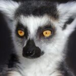 Park Entry for a Family of 4 (2 adults and 2 children) - Practical Tips to Maximize Your Visit