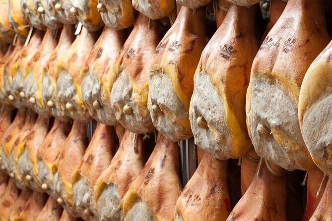 Parma Delights Tour: Parmigiano, Prosciutto & Balsamico - Who Should Consider This Tour?