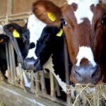 Parma Hillside Private Food Tour and Tasting - Final Thoughts