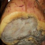 Parmigiano Reggiano and Parma ham tour - A Closer Look at the Tour Experience