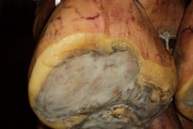Parmigiano Reggiano and Parma ham tour - A Closer Look at the Tour Experience