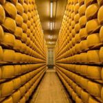 Parmigiano Reggiano Cheese Factory Tour & Tasting Experience - The Practicalities