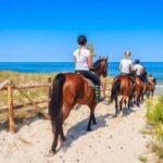 Paros: Morning Island Horseback Riding Adventure - The Horse-Riding Experience