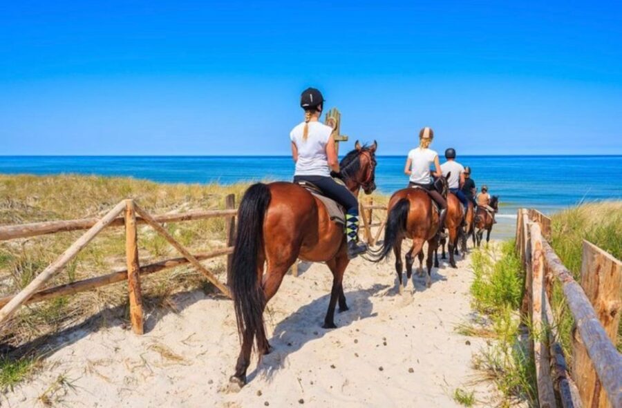 Paros: Morning Island Horseback Riding Adventure - The Horse-Riding Experience