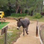 Parque da Mina Entrance Ticket - Final Thoughts