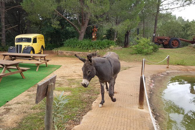 Parque da Mina Entrance Ticket - Final Thoughts