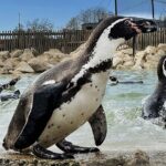 Parrot World Immersive Wildlife Park Entry Ticket next to Paris - What’s Included