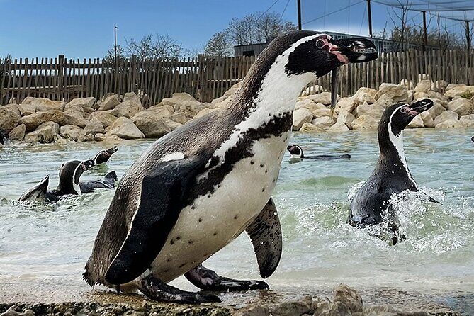 Parrot World Immersive Wildlife Park Entry Ticket next to Paris - What’s Included