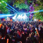 Party Concierge (digital service) - Why Travelers Love It (And What They Say)