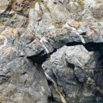 Passenger transfer service from Torre Faro (Messina) to Scilla round trip - Practical Details & Considerations