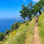 Path of the Gods Private Walking Tour in Positano Italy - The Cost and How It Adds Value