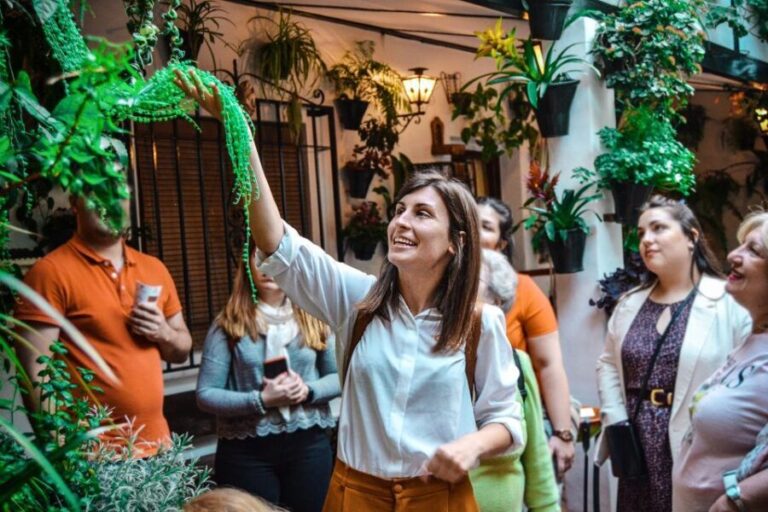 Patios of Cordoba Walking Tour - The Practicalities: Booking, Timing, and Tips