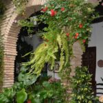 Patios & Perfums of Cordoba Festival Tour - The Guides: Knowledgeable and Passionate