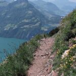 Peak to Peak Private Hiking Tour from Lucerne - Picnic Lunch and Mountain Farm Life