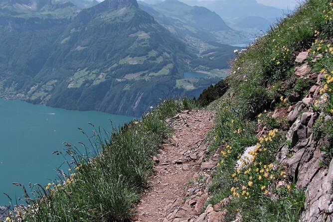 Peak to Peak Private Hiking Tour from Lucerne - Picnic Lunch and Mountain Farm Life
