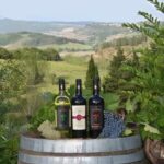 Peccioli: Wine tasting experience - Final Thoughts: Is This Tour Right for You?
