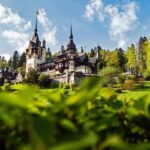 Peles & Cantacuzino Castles: Gourmet Wine & Cultural trip - Practical Details and Value