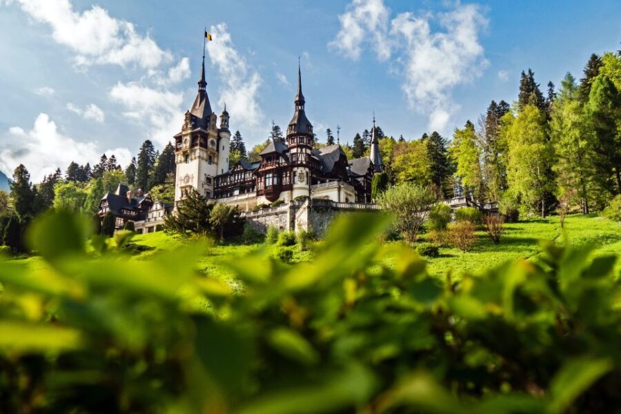 Peles & Cantacuzino Castles: Gourmet Wine & Cultural trip - Practical Details and Value