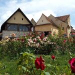 Peles Castle, Bran Castle, Rasnov Fortress and Sinaia Monastery Tour from Brasov - Transportation & Group Size