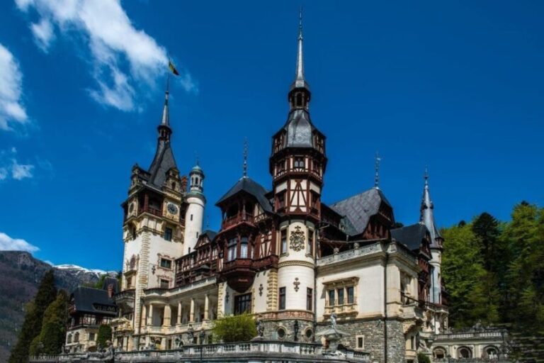 Peles Castle & Wine Tasting Tour - Full-Day from Bucharest - Practicalities & Logistics