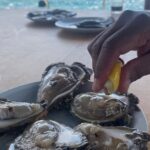 Peljeac - Wine, Oysters and Food Experience from Dubrovnik - Who Is This Tour Best For?