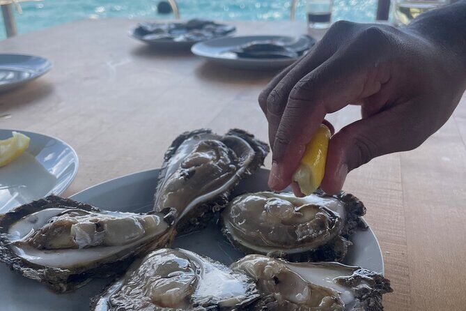 Peljeac - Wine, Oysters and Food Experience from Dubrovnik - Who Is This Tour Best For?