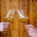 Peljeac wine tasting and local winery visit - Why This Tour Works Well