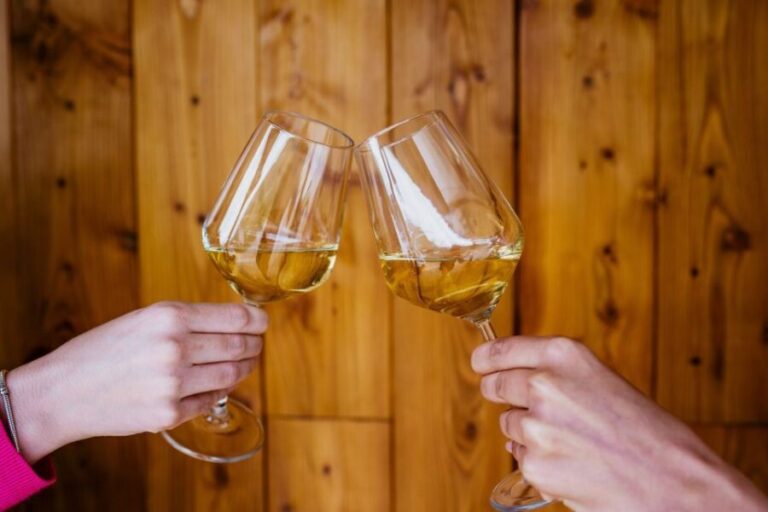 Peljeac wine tasting and local winery visit - Why This Tour Works Well