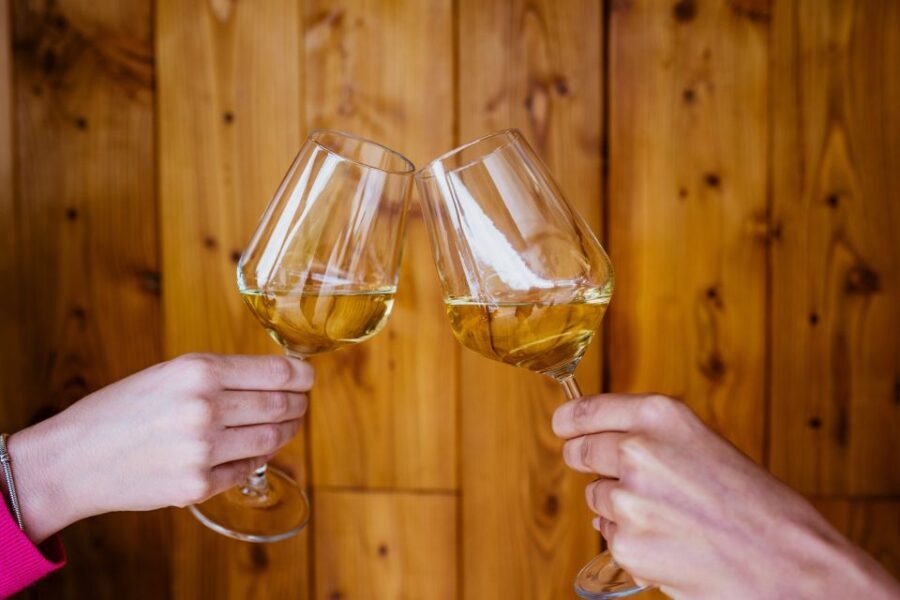 Peljeac wine tasting and local winery visit - Why This Tour Works Well