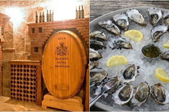 Peljesac Peninsula Wine Tasting Luxury Tour from Dubrovnik - Final Thoughts: Is This Tour for You?