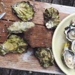 Peljesac Wine & Ston Oysters PRIVATE HALF DAY SHORE TOUR - Final Thoughts: Is This Tour Right for You?