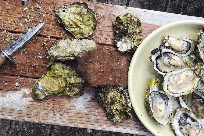 Peljesac Wine & Ston Oysters PRIVATE HALF DAY SHORE TOUR - Final Thoughts: Is This Tour Right for You?