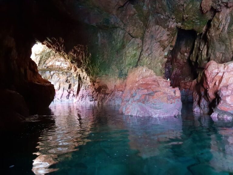 Peniche: Berlengas Roundtrip and Glass-Bottom Boat Cave Tour - The Experience from the Traveler’s Perspective