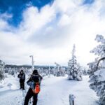 Photographing Tour by Snowmobile Sleigh - Key Points