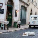 Photography Workshop-Tour in Alfama - Lisbon - Practical Considerations