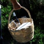Pic-nic in the vineyard - The Experience: What You’ll Love