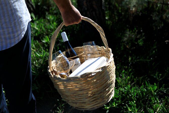 Pic-nic in the vineyard - The Experience: What You’ll Love