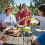 Pic Saint-Loup: Full Day Wine and Olive Tour - Practicalities and Value