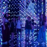 Picasso and Moco Museum Tour - The Sum Up