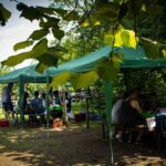 Picnic Area with Barbecue Equipment in Capranica (VT) - FAQ