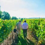 Picnic in the Vines - A Unique Loire Wine Experience - Practical Details and Considerations