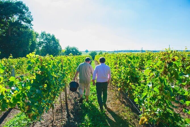 Picnic in the Vines - A Unique Loire Wine Experience - Practical Details and Considerations