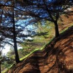 Pico do Facho Panoramic Trail - Authentic Insights from Recent Reviewers