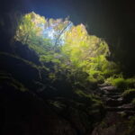 Pico Island: Lagoons and Mysterious Lava Tunnels Guided Tour - In-Depth Breakdown of the Itinerary