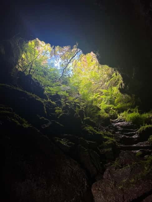 Pico Island: Lagoons and Mysterious Lava Tunnels Guided Tour - In-Depth Breakdown of the Itinerary