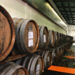 Pico Wine Tour: Get to know Pico's wines - Authenticity and the Value for Your Money