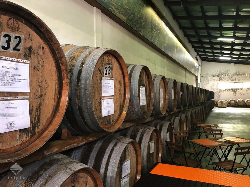 Pico Wine Tour: Get to know Pico's wines - Authenticity and the Value for Your Money