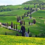 Pienza, Montalcino, Brunello Wine and Pecorino Cheese PRIVATE TOUR from FLORENCE - Pienza: The Architectonic Gem of Tuscany