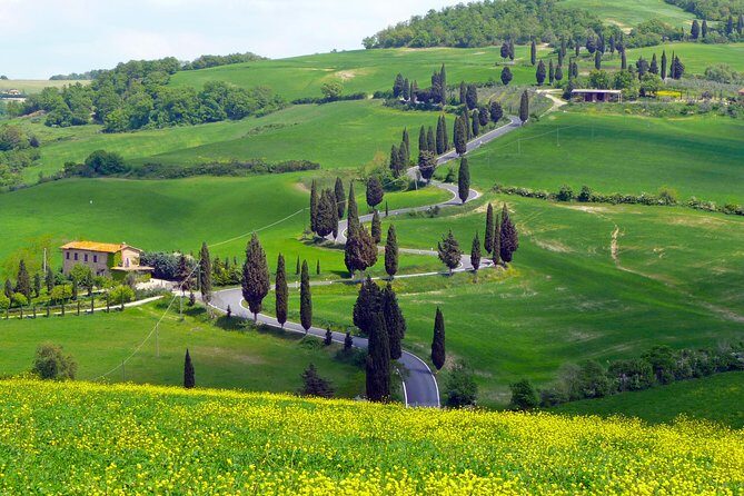 Pienza, Montalcino, Brunello Wine and Pecorino Cheese PRIVATE TOUR from FLORENCE - Pienza: The Architectonic Gem of Tuscany
