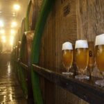 Pilsen Highlights Small-Group Tour and Pilsner Brewery Tour including Lunch and Beer Tasting - The Authentic Pilsen Experience: Pros and Cons